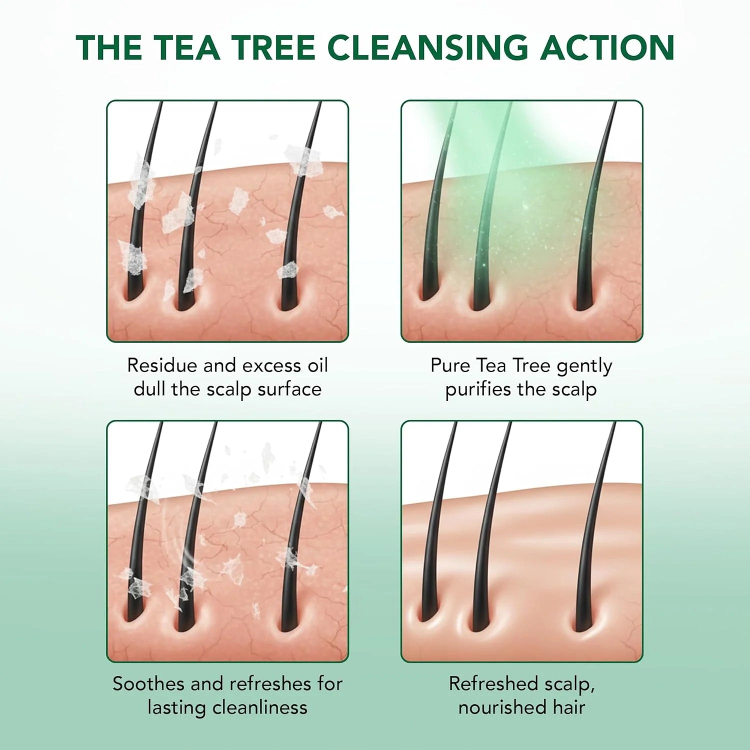 Tea Tree Shampoo and Conditioner Set - with 100% Pure Tea Tree Oil, for Itchy and Dry Scalp, Sulfate Free, Paraben Free - for Men and Women - 2 Bottles 16 Fl Oz Each